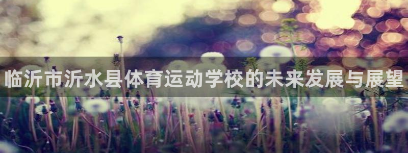 凯发官网下载是干嘛的公司