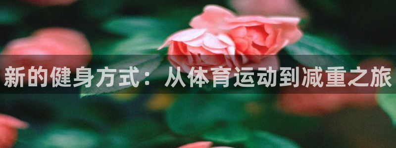 凯发官网下载招商电话号码是多少