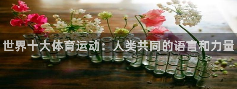 凯发官方正版app官方
