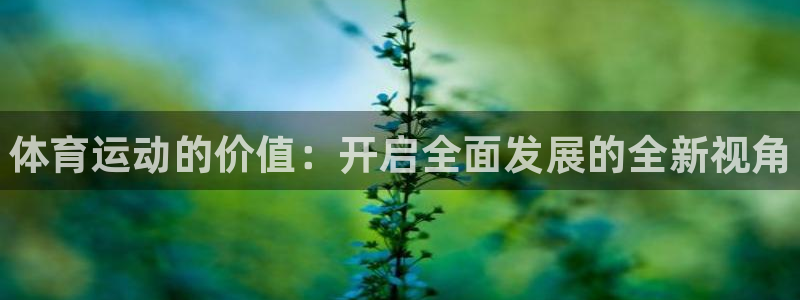 凯发官方正版app集团简介