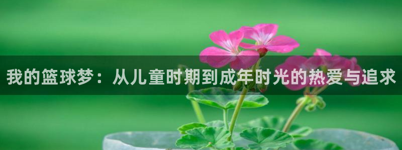 海南凯发官网下载