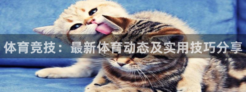 凯发官方正版app娱乐下载