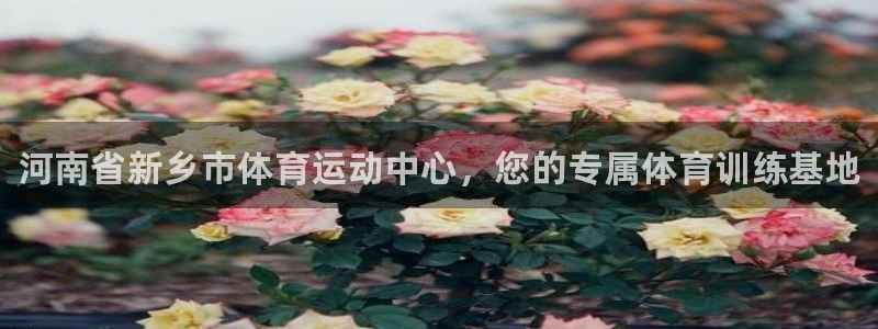 凯发官网下载：河南省新乡市体育运动中心，您的专属体育