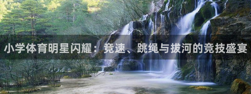 凯发官方正版app集团官网首页网址：小学体育明星闪耀