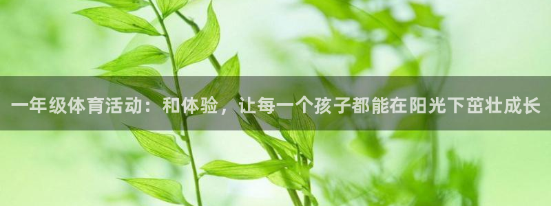 海南凯发官网下载发展怎么样：一年级体育活动：和体验，