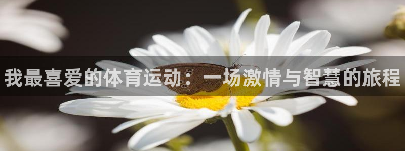 凯发官网下载软件：我最喜爱的体育运动：一场激情与智慧