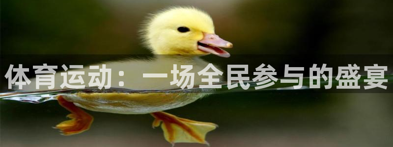 凯发官方正版app开户：体育运动：一场全民参与的盛宴