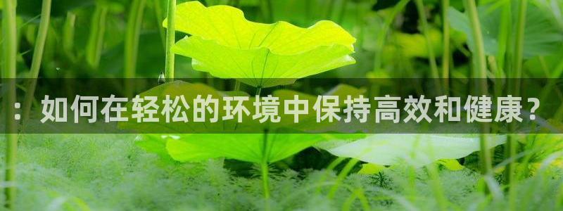 凯发官网下载开户：：如何在轻松的环境中保持高效和健康