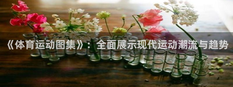 凯发官网下载招商电话是多少：《体育运动图集》：全面展