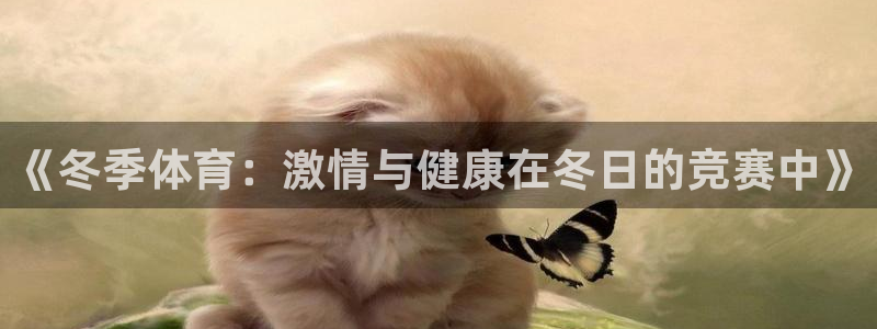 凯发官方平台体育：《冬季体育：激情与健康在冬日的竞赛