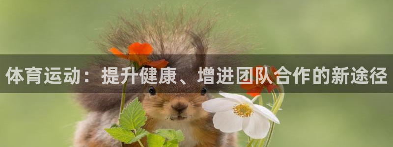 凯发官网下载招商电话号码查询：体育运动：提升健康、增