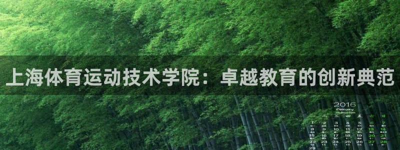 凯发官方集团官网：上海体育运动技术学院：卓越教育的创新典范