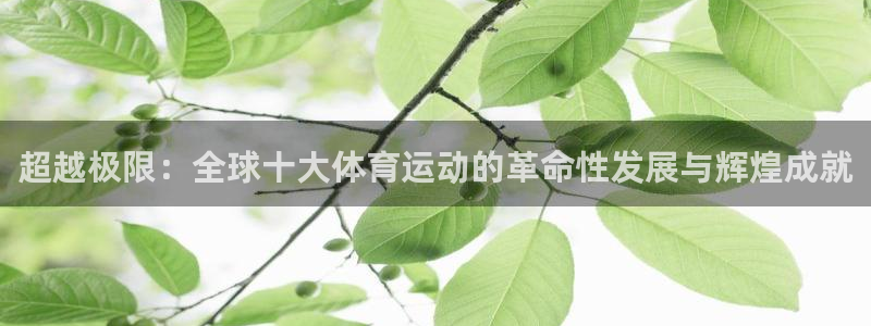 凯发官方正版app官网：超越极限：全球十大体育运动的革命性发