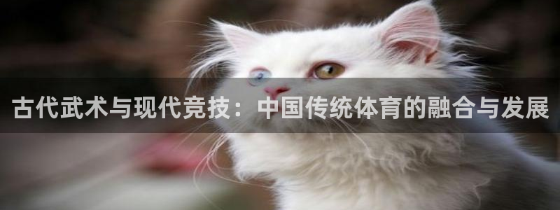 德国凯发官方正版app集团