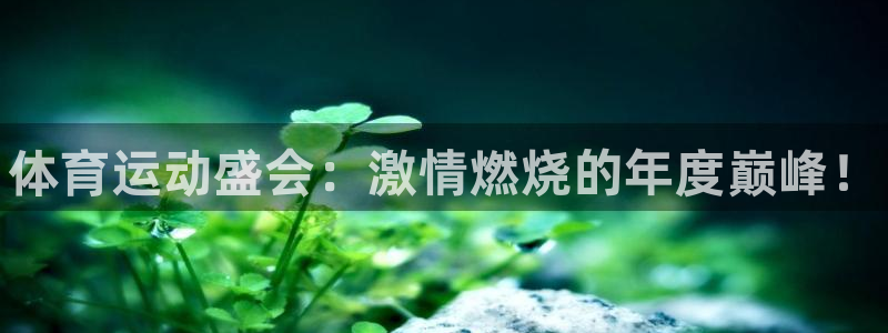 凯发官方正版app集团