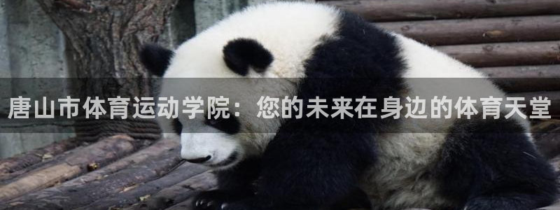 德国凯发官方正版app集团：唐山市体育运动学院：您的未来在身