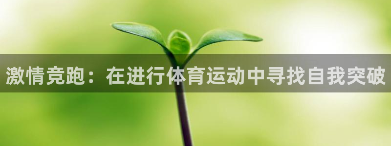 凯发官网下载招商电话号码是多少啊：激情竞跑：在进行体