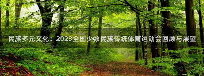 注册凯发官方正版app：民族多元文化：2023全国少数民族传