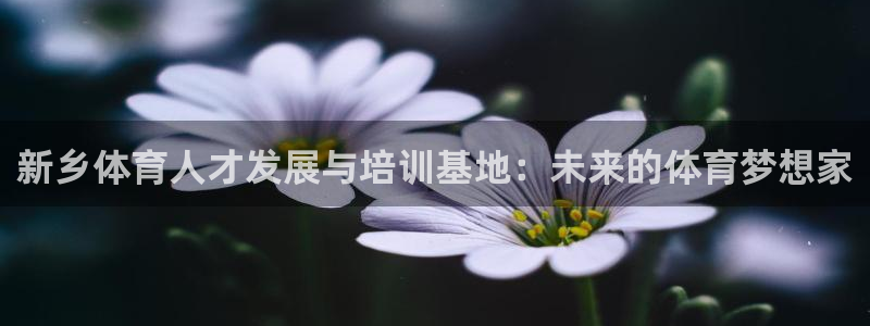 凯发官网下载招商：新乡体育人才发展与培训基地：未来的