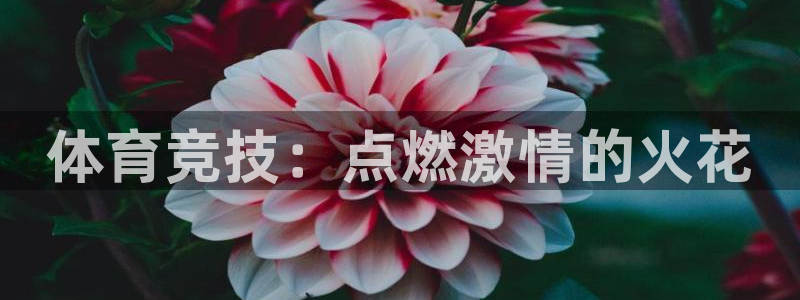 凯发官网下载平台假的吗是真的吗：体育竞技：点燃激情的火花