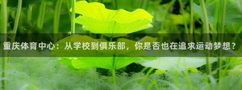 凯发官网下载平台是正规平台吗：重庆体育中心：从学校到俱乐部，